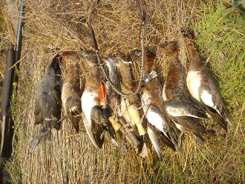 TABLEAUX DE CHASSE